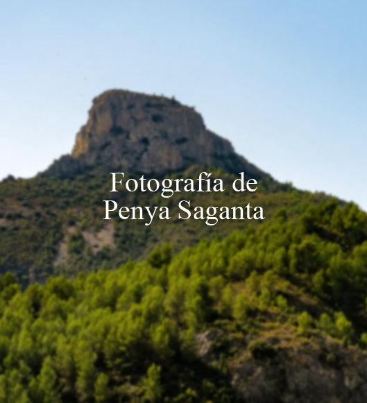 Fotografía