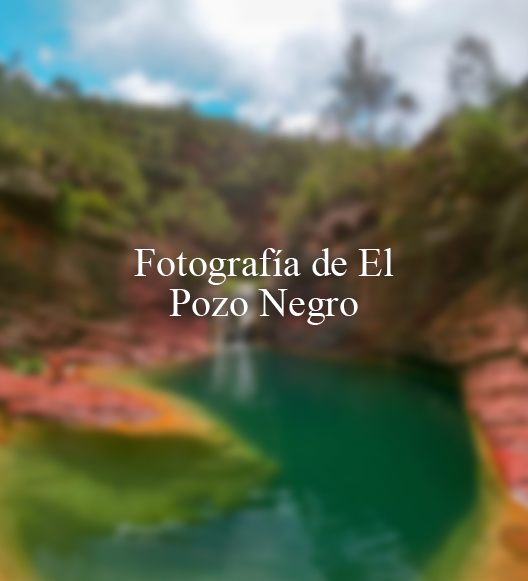 Fotografía